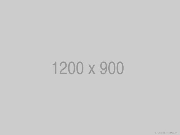 Web & Mobile Shop (Combo Paket) - Image 2